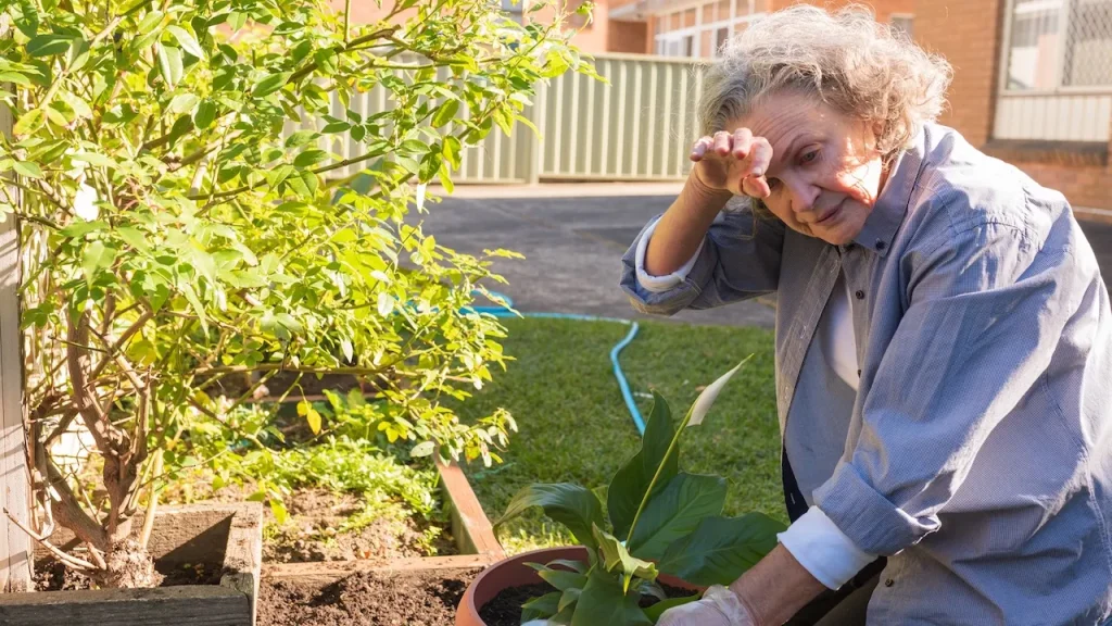 Summer heat poses serious health risks for older adults, expert warns