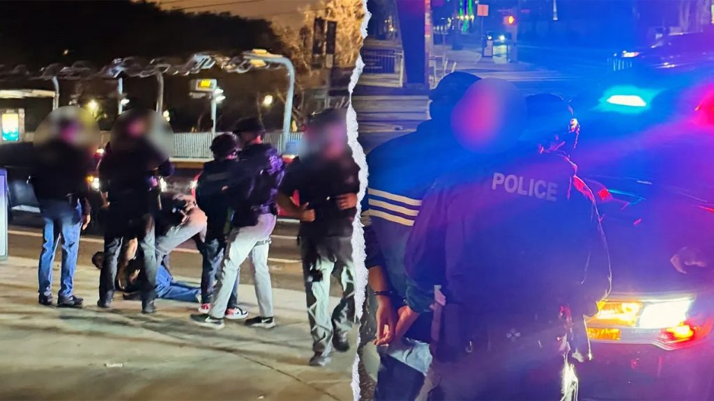 Photos show moment Nick Reiner was arrested in murder of his parents